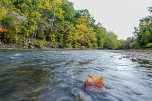 Rocky River Fly Fishing