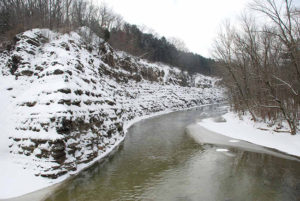 Ohio Fly Fishing on The Rocky River