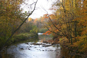 Fly Fishing on the Rocky River